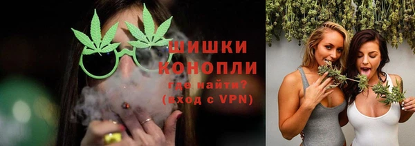 МДПВ Богородицк