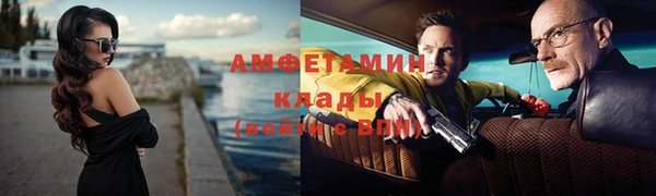 стаф Богданович