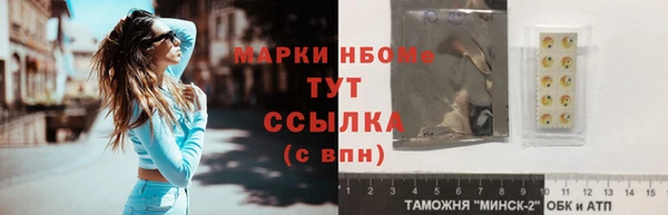 стаф Богданович