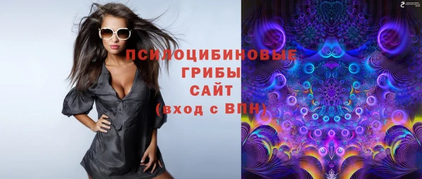 каннабис Болотное